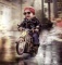 giuseppe87 avatar