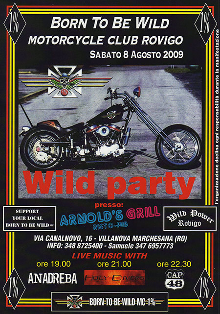 wild-party-2009-flyer