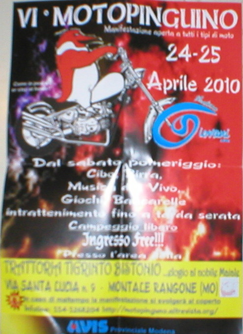 vi-motopinguino-2010-flyer