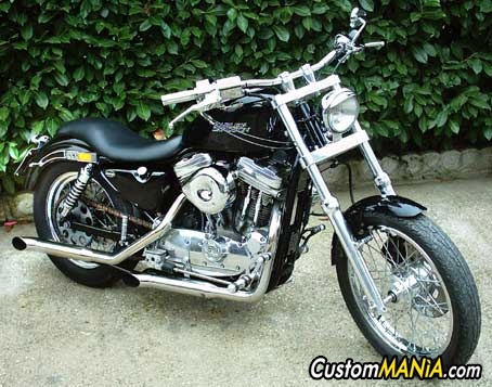 harley davidson 838 sportster
