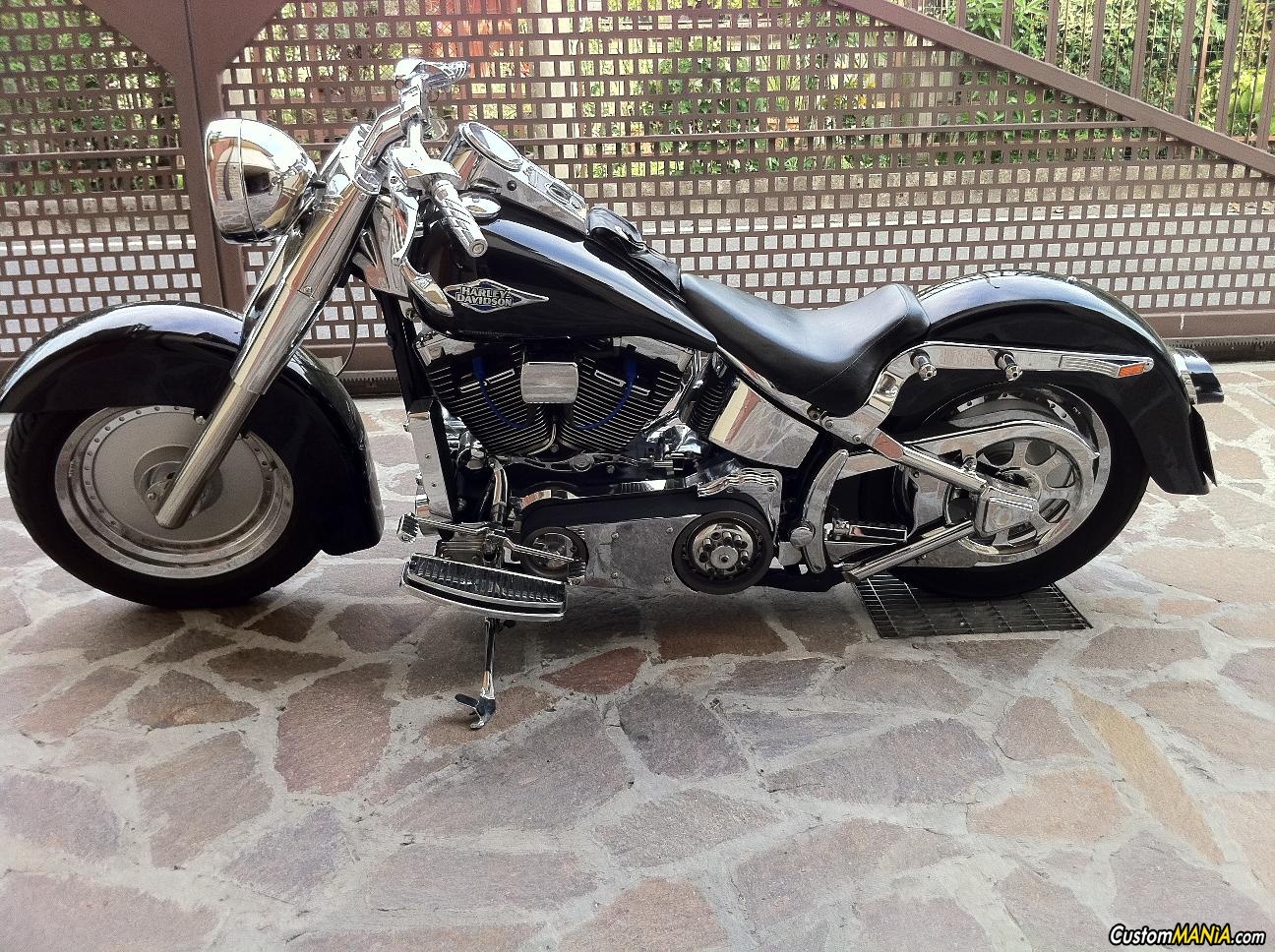 Black Pearl Custommania Com