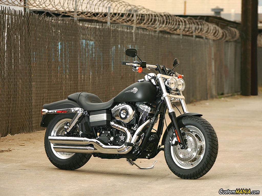 Softail fat bob custom on sale
