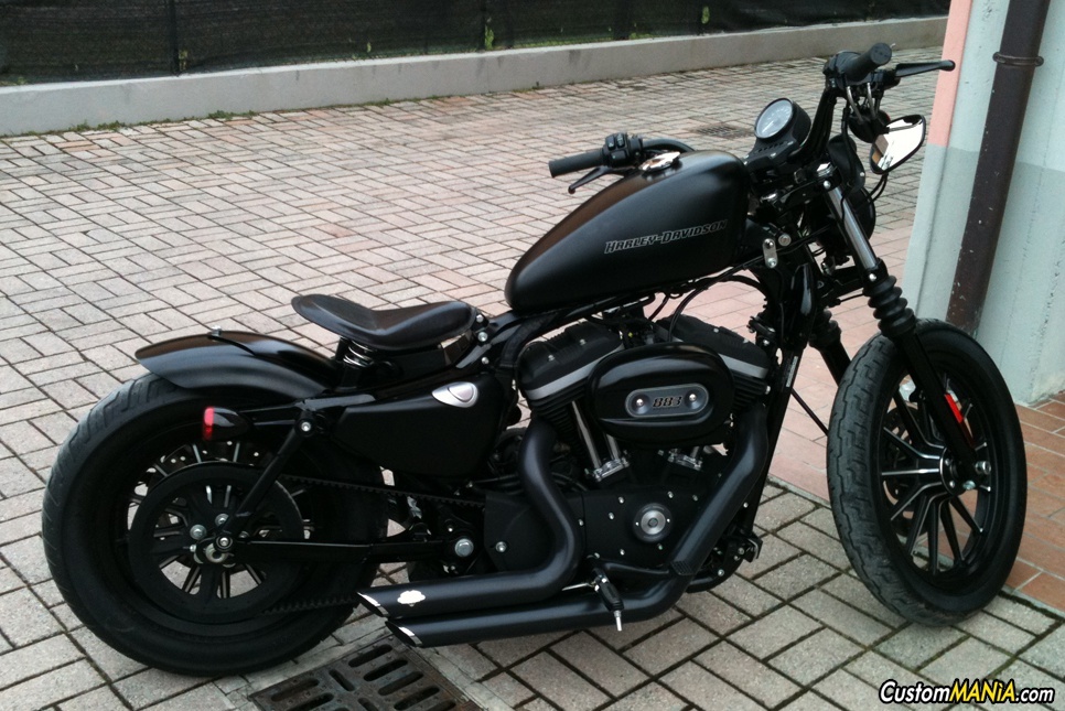 2010 Harley Davidson Sportster Iron 883