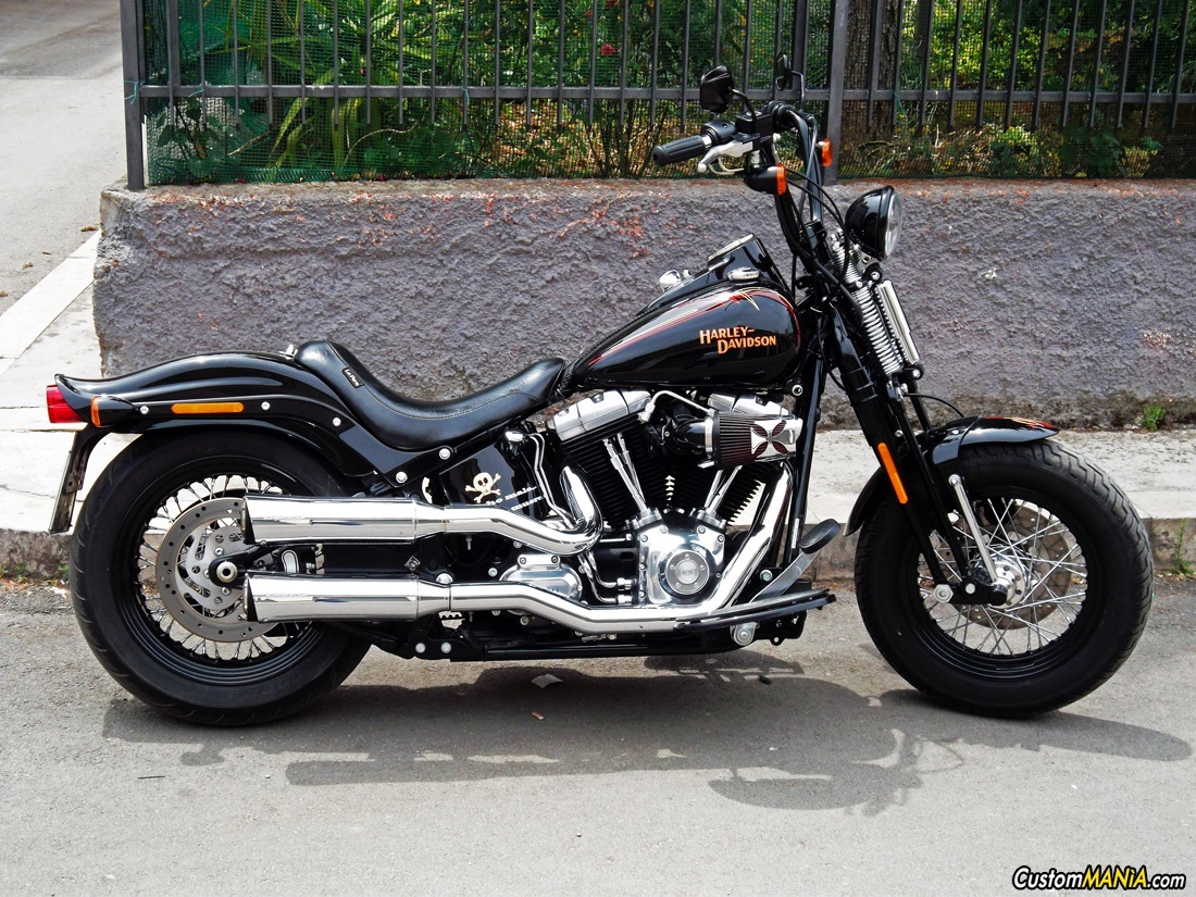 Crossbones | CustomMANIA.com