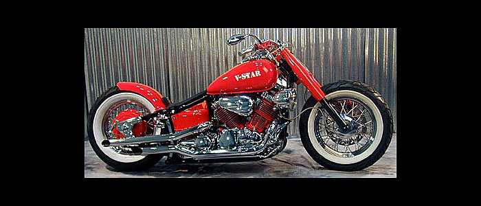 harley-davidson-uno-stile-di-vita-9-12495