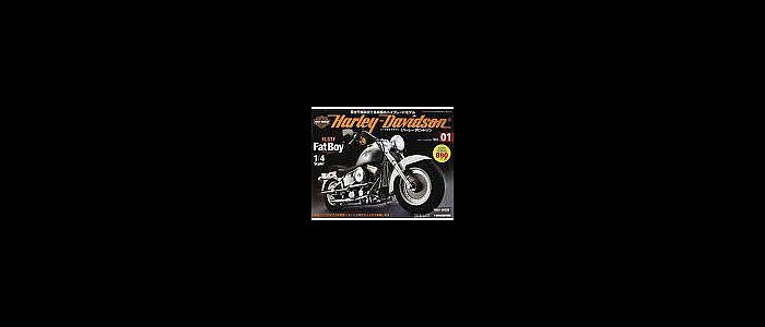 harley-davidson-uno-stile-di-vita-9-10871