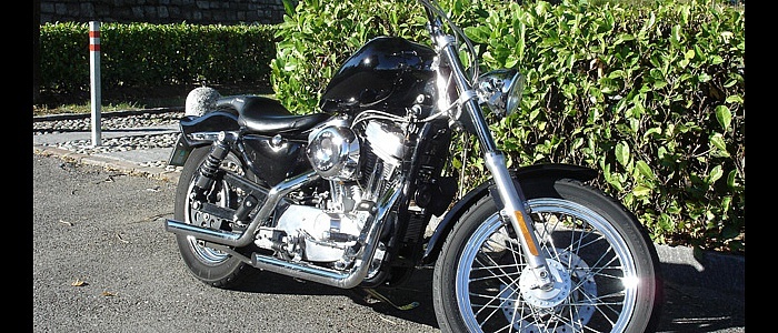 carburazione-sportster-1200-71-3349