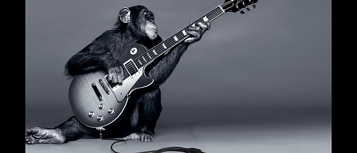 rocksmith-monkey_t