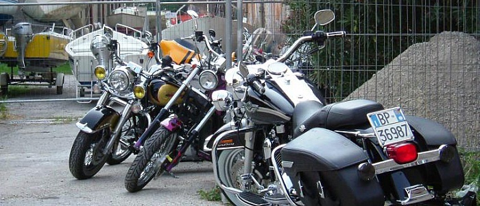 garda-run-2006-2006-300-3118