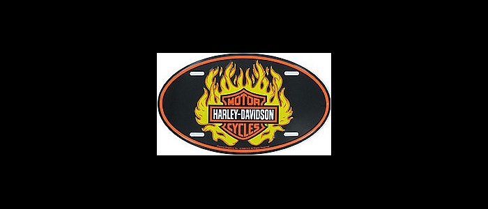 3deg-motoraduno-easyriders-2006-303-25511