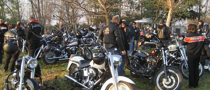 4deg-pinguino-party-2007-560-7560