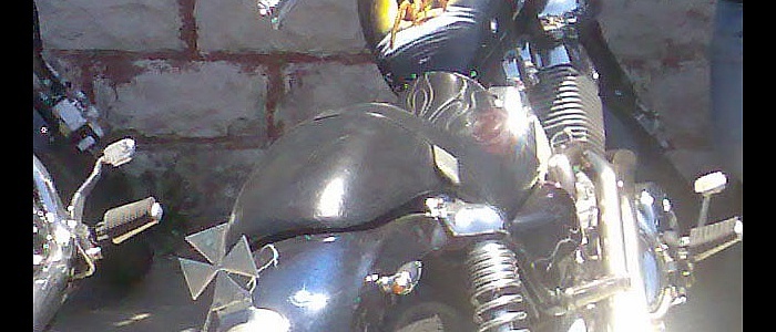3039-happy-free-bikers-2008-1739-20766