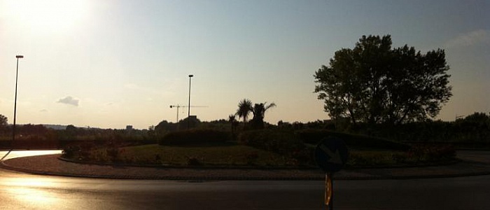 galloranza-2011-3647-26633