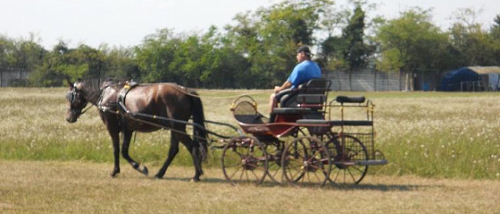 urtos-grup-friul-2011-3719-26759