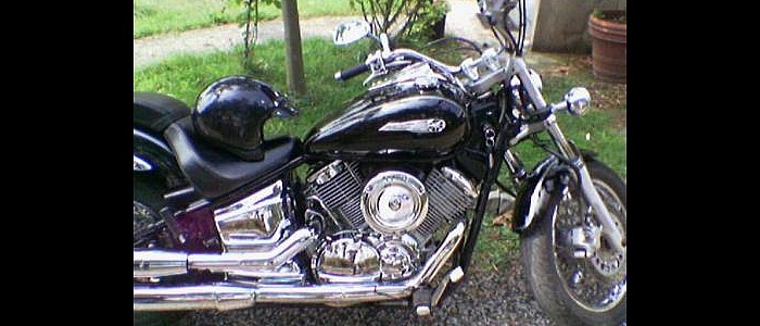 3631 3631
