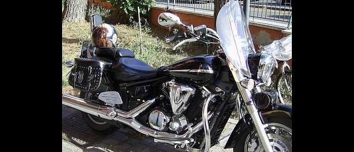 4991 4991