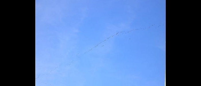 7209