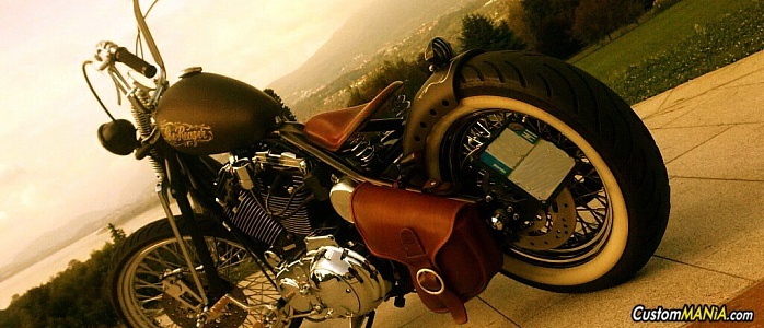 harley-davidson-sportster-xl1200c-custom