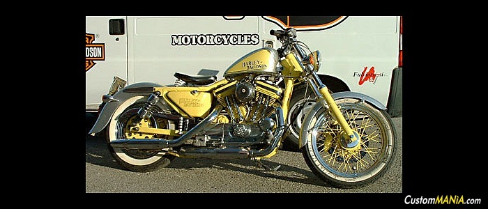 harley-davidson-sportster-xl883c-custom