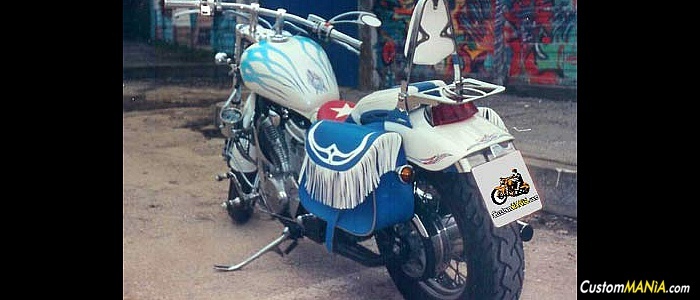 honda-vt-600-shadow honda-vt-600-shadow