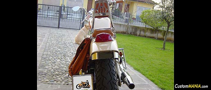 honda-vt-600-shadow honda-vt-600-shadow