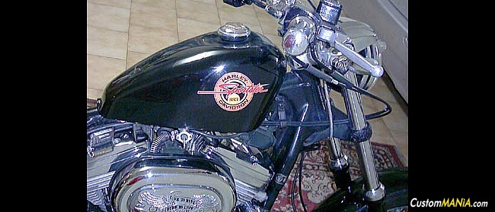 harley-davidson-sportster-xl1100-standard