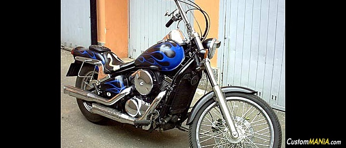 kawasaki-vn-800 kawasaki-vn-800