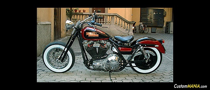 harley-davidson-dyna-fxdl-low-rider