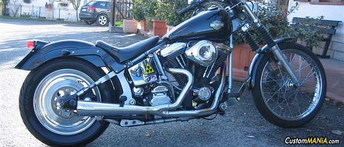 harley-davidson-softail-fxstc-custom