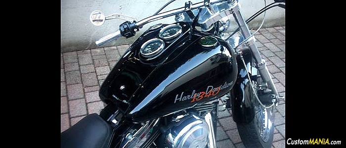 harley-davidson-dyna-fxdl-low-rider