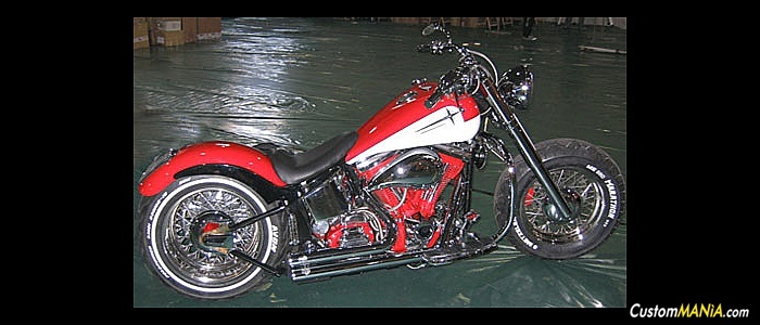 harley-davidson-softail-fxstc-custom harley-davidson-softail-fxstc-custom