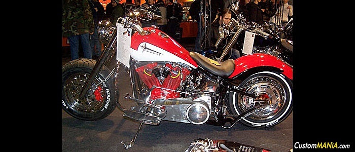 harley-davidson-softail-fxstc-custom