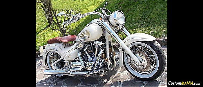 yamaha-xv-1600-wild-star