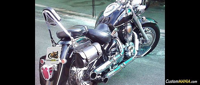 yamaha-xv-1600-wild-star