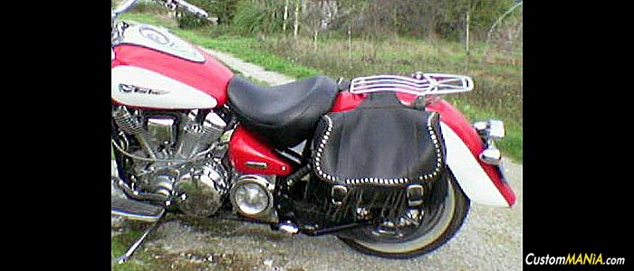 yamaha-xv-1600-wild-star