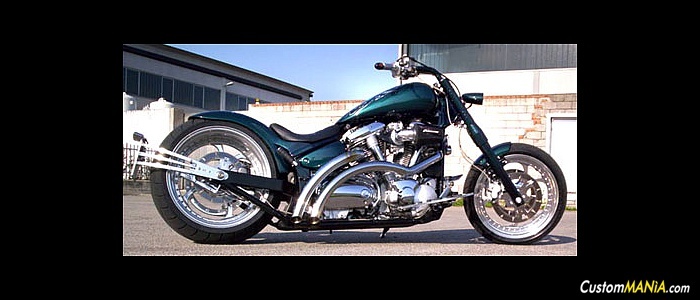 yamaha-xv-1600-wild-star yamaha-xv-1600-wild-star