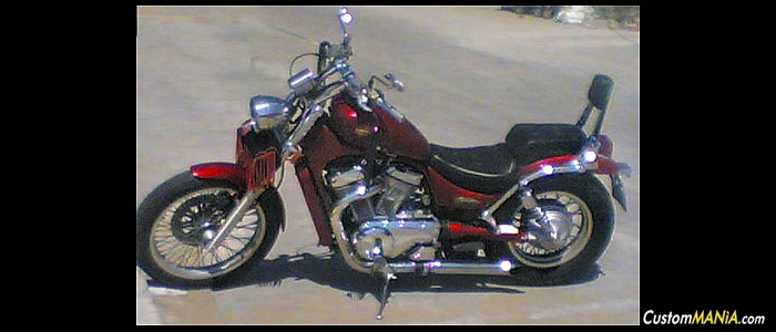 suzuki-intruder-800 suzuki-intruder-800