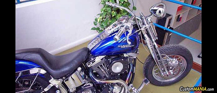 harley-davidson-softail-fxsts-springer