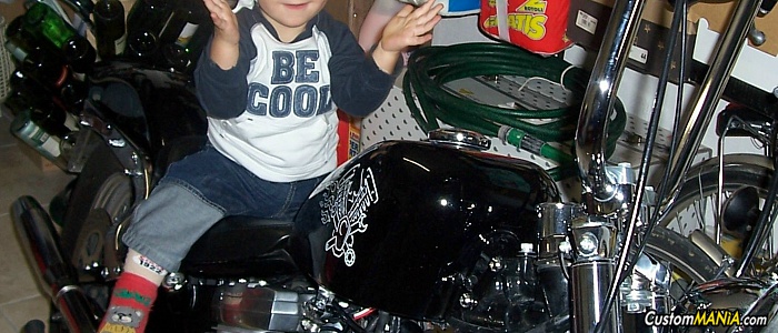 harley-davidson-softail-fxstc-custom