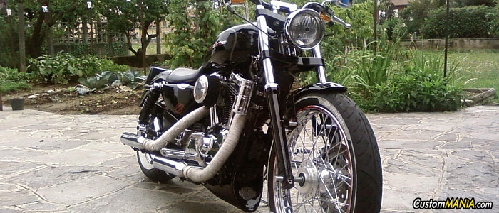 harley-davidson-sportster-xl883c-custom