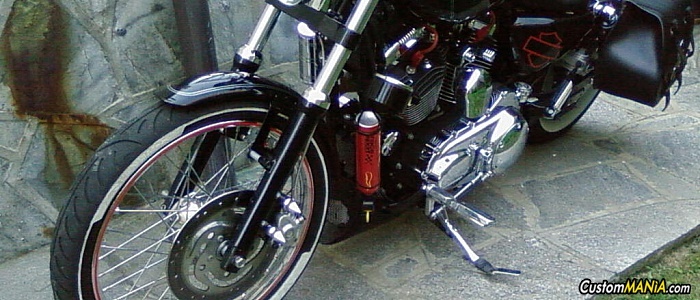 harley-davidson-sportster-xl883c-custom