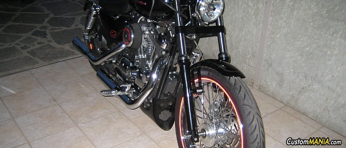harley-davidson-sportster-xl883c-custom