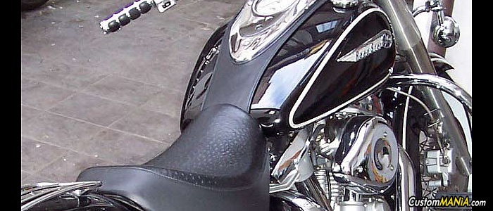 yamaha-xv-1600-wild-star yamaha-xv-1600-wild-star