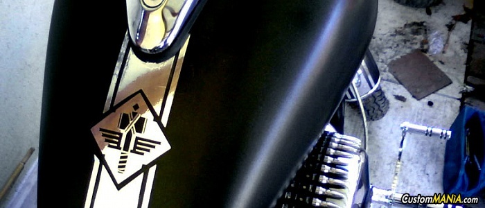 kawasaki-vn-800 kawasaki-vn-800