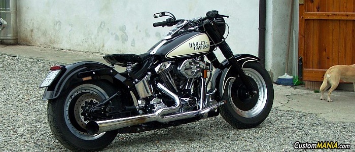 harley-davidson-softail-flstf-fat-boy