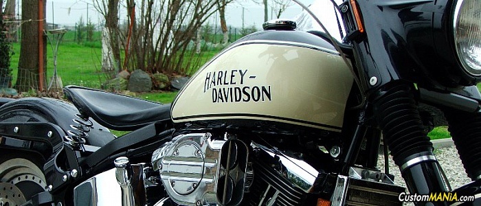 harley-davidson-softail-flstf-fat-boy