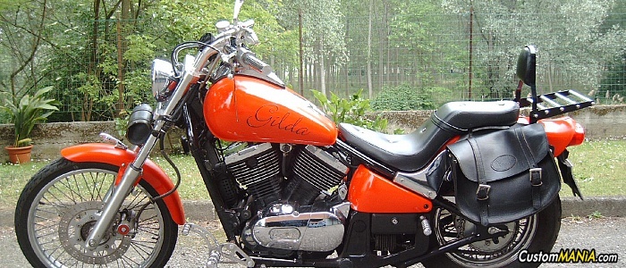 kawasaki-vn-800 kawasaki-vn-800