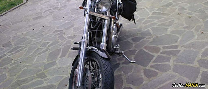 suzuki-intruder-800 suzuki-intruder-800