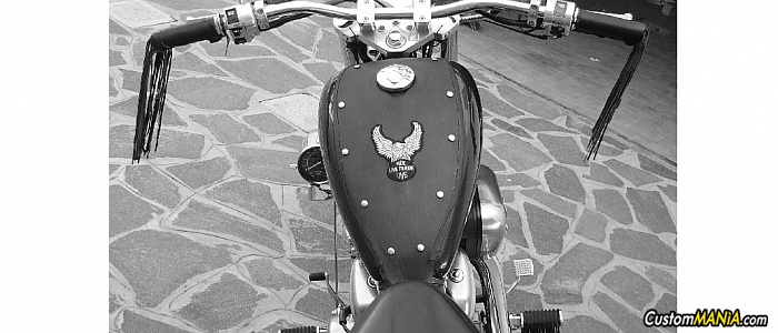 honda-vt-600-shadow honda-vt-600-shadow