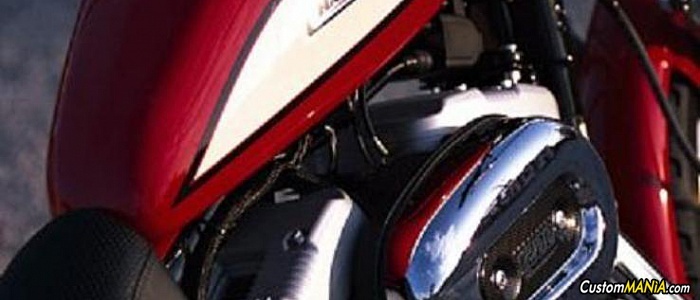harley-davidson-sportster-xl883c-custom